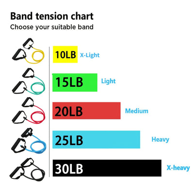 Resistance Bands With Handles Exercise